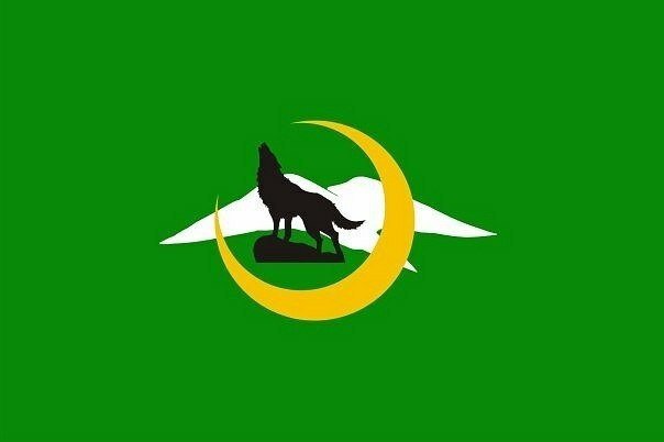 Флаг волк на зеленом фоне