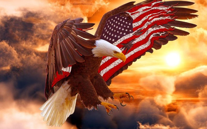 Америка орел на фоне флага