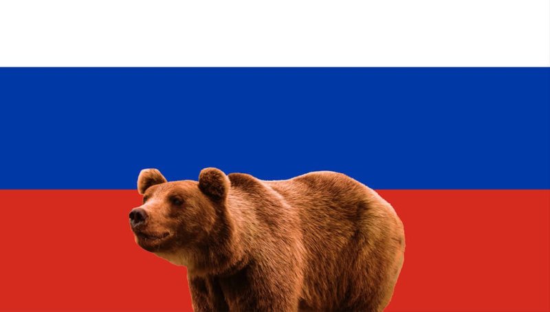 Бурый медведь на фоне российского флага