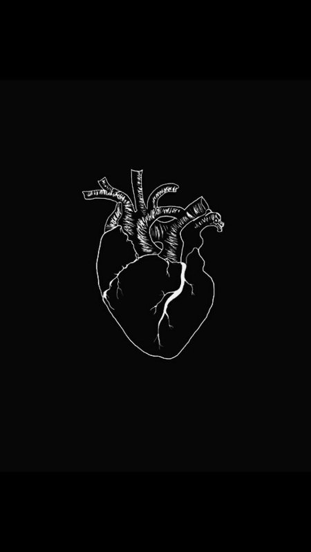 Человеческое сердце на черном фоне