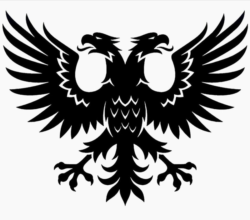 Флаг черный орел на белом фоне