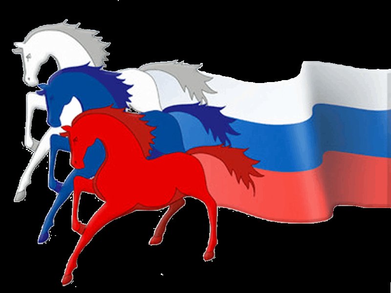 Флаг с конем на красном фоне