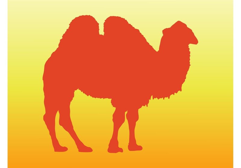 Флаг верблюд на красном фоне