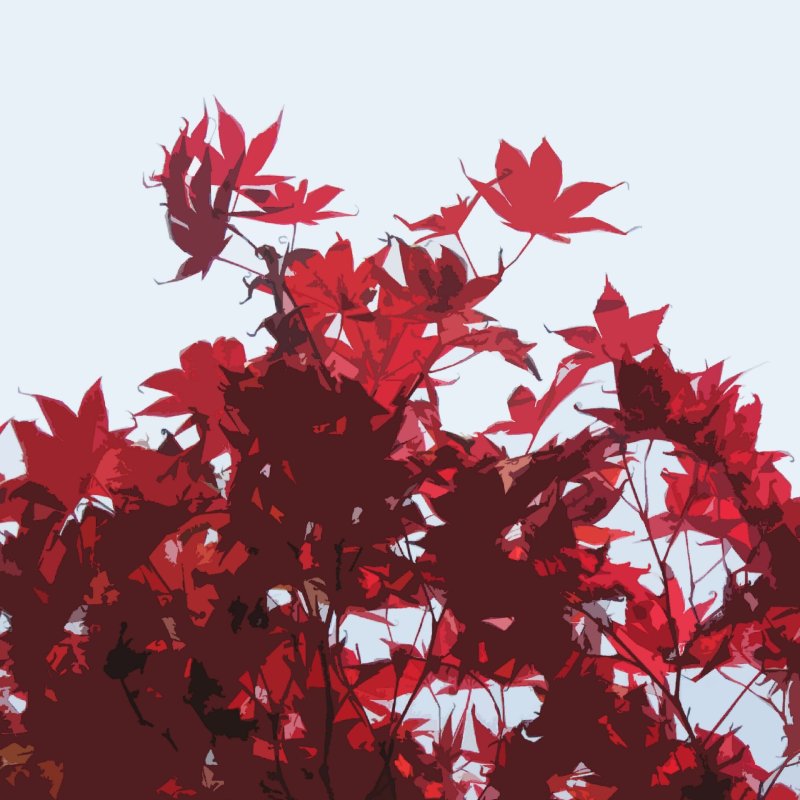 Фон красные кленовые листья
