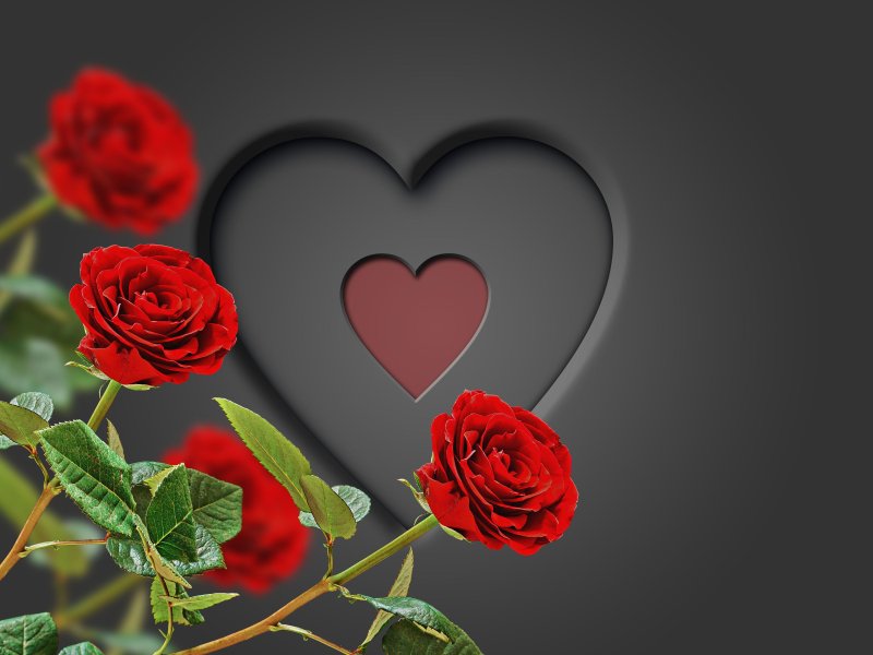 Фон красные розы и сердечки