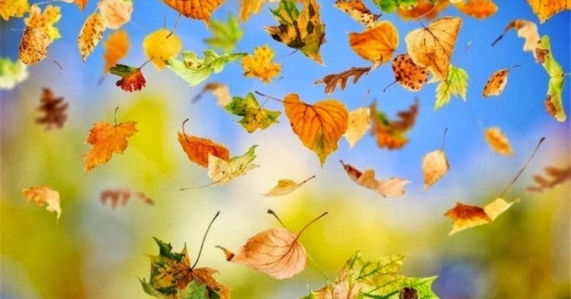 Фон летающие листья
