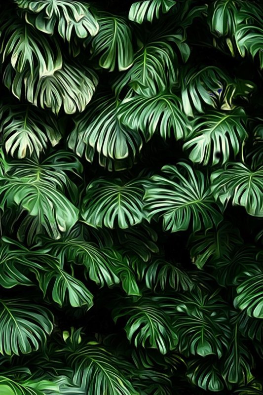 Фон тропические зеленые листья
