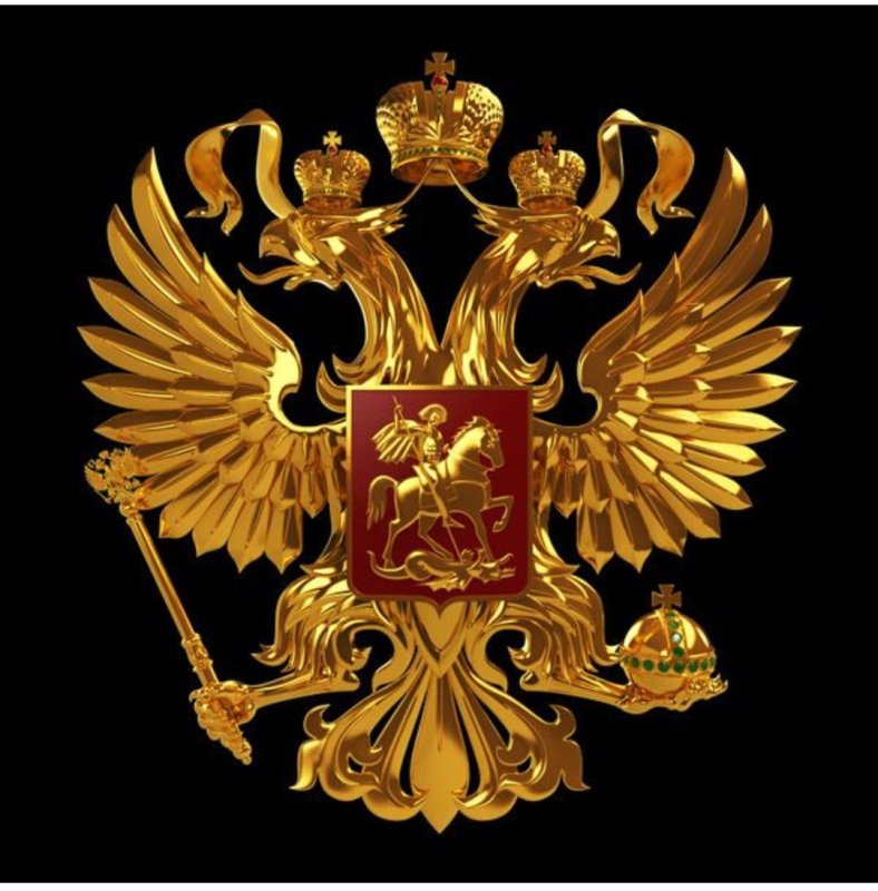 Герб россии черный орел на золотом фоне