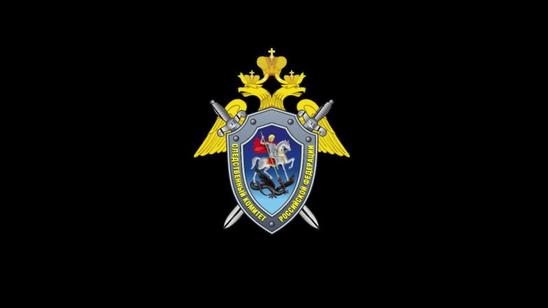 Следственный комитет РФ лого