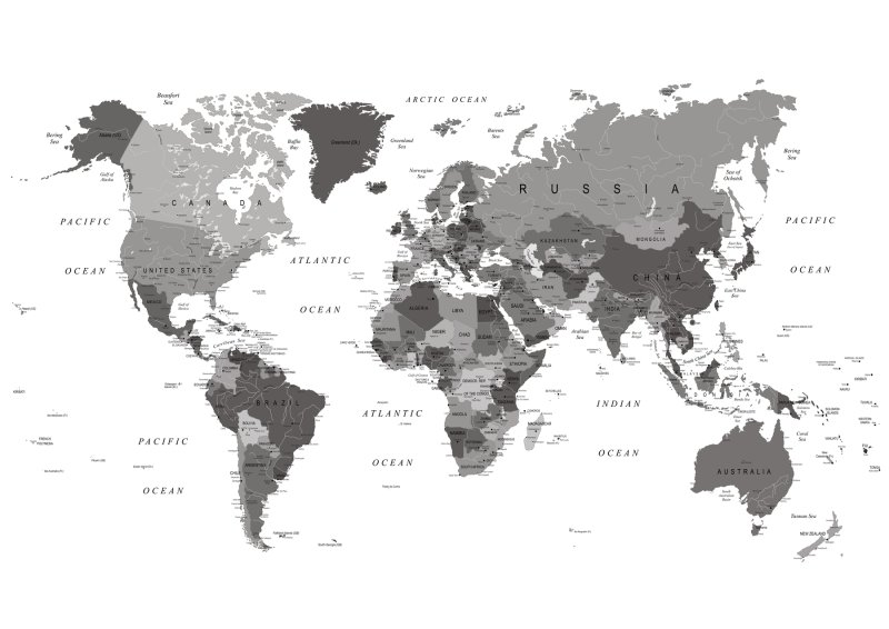 Карта мира на белом фоне со странами