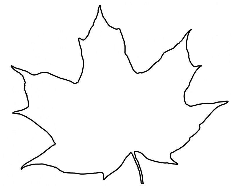 Кленовый лист контур на белом фоне