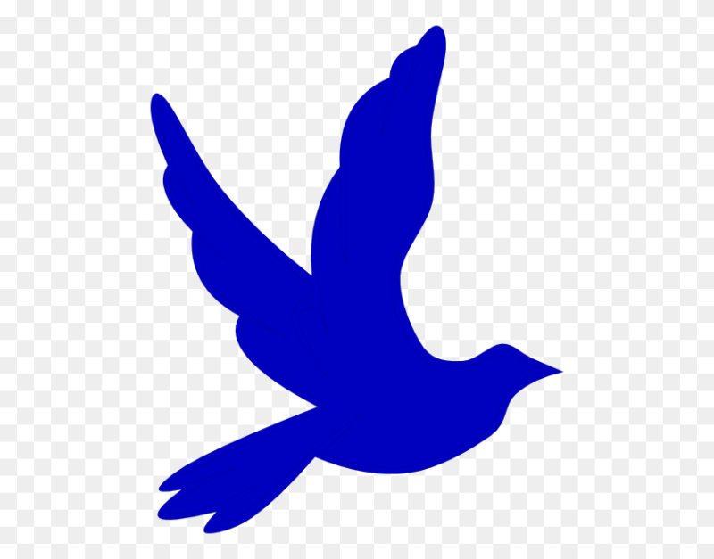 Логотип голубая птица на белом фоне