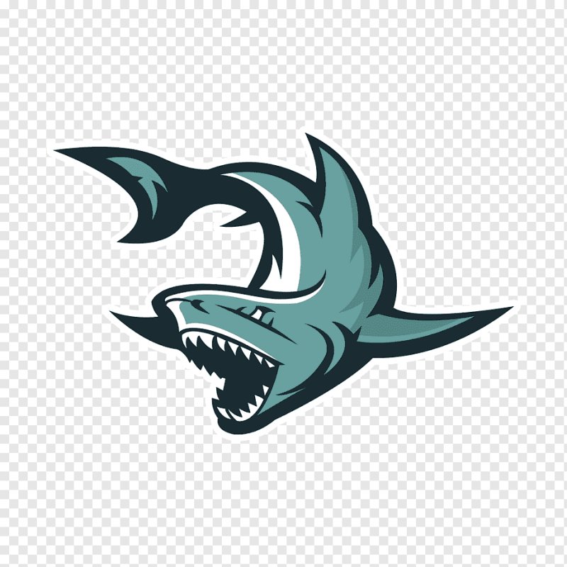 Логотип на белом фоне акула