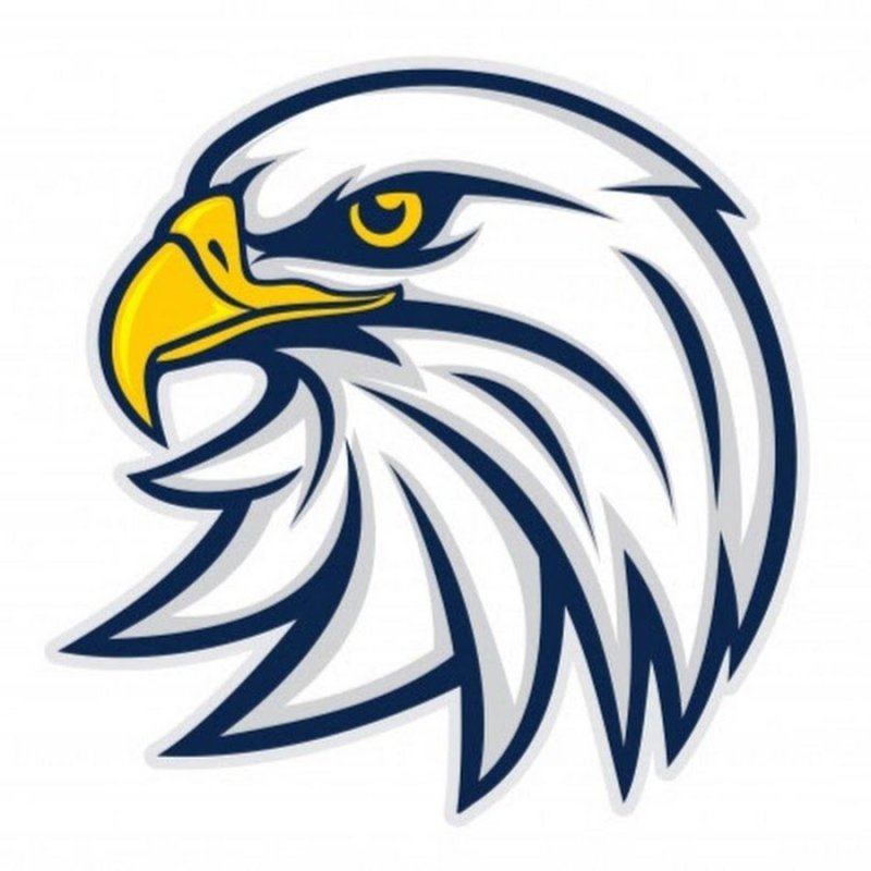 Логотип орла на белом фоне