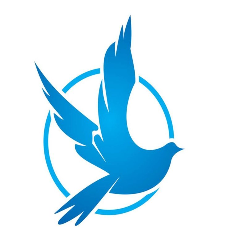 Логотип птички на синем фоне