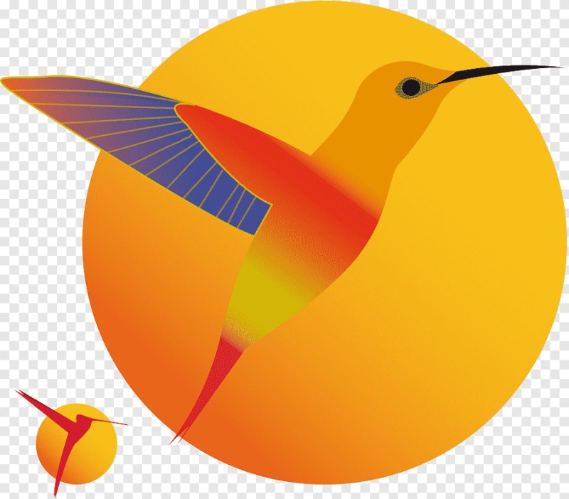 Логотип птица на оранжевом фоне