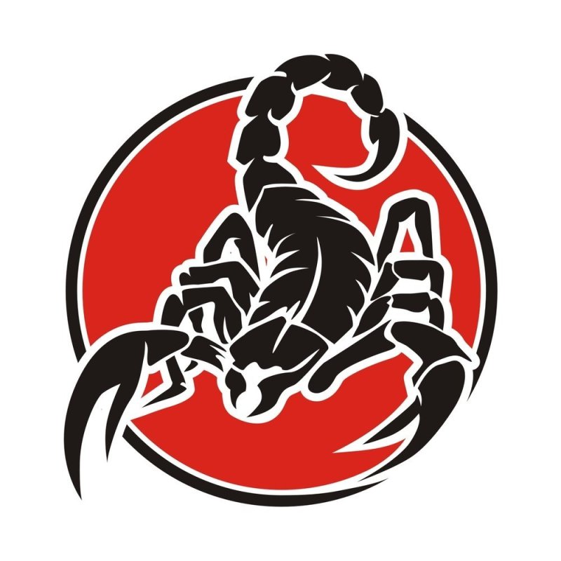 Логотип скорпион на красном фоне логотип
