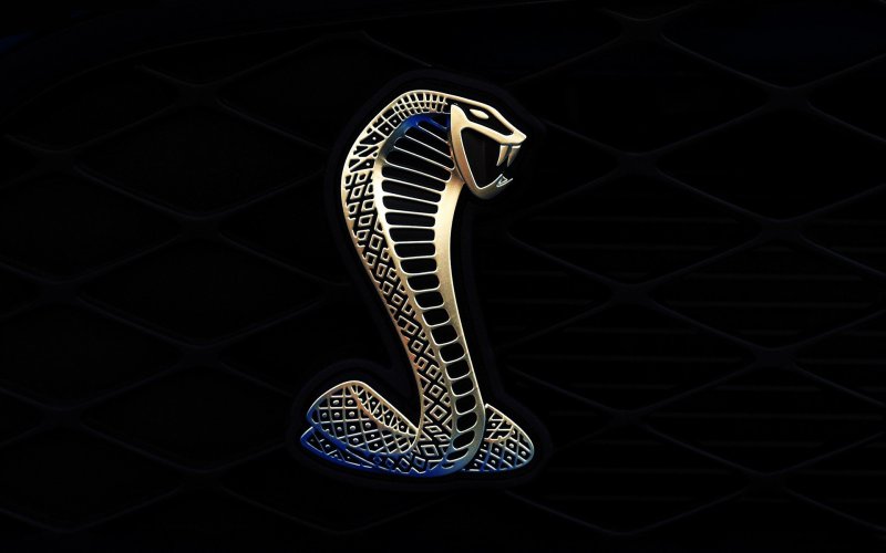Логотип змеи на черном фоне