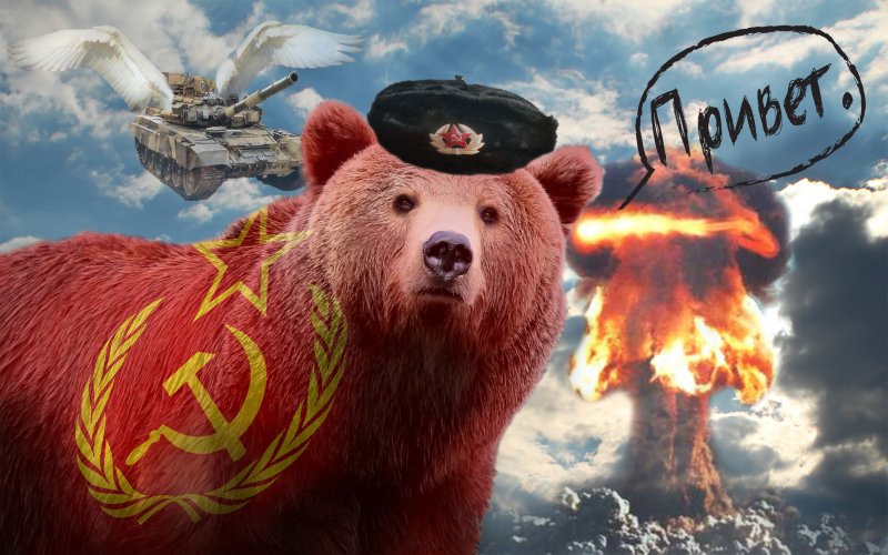 Медведь на фоне флага россии