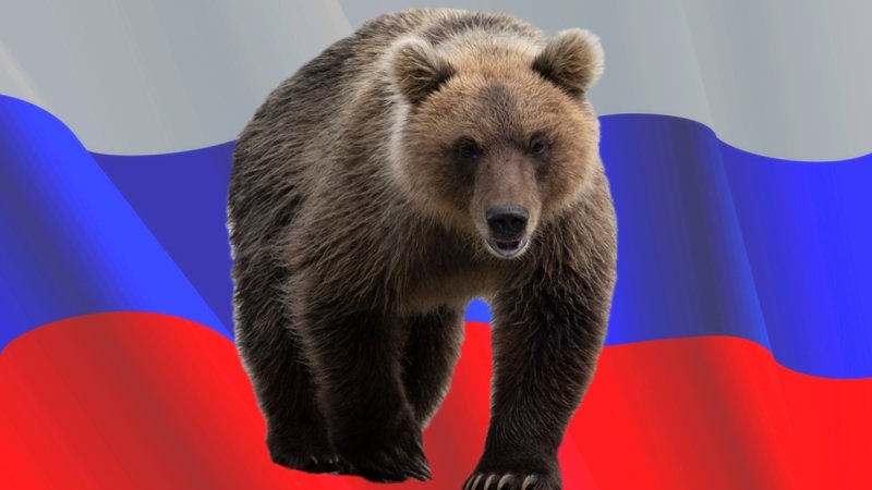 Медведь на фоне российского флага