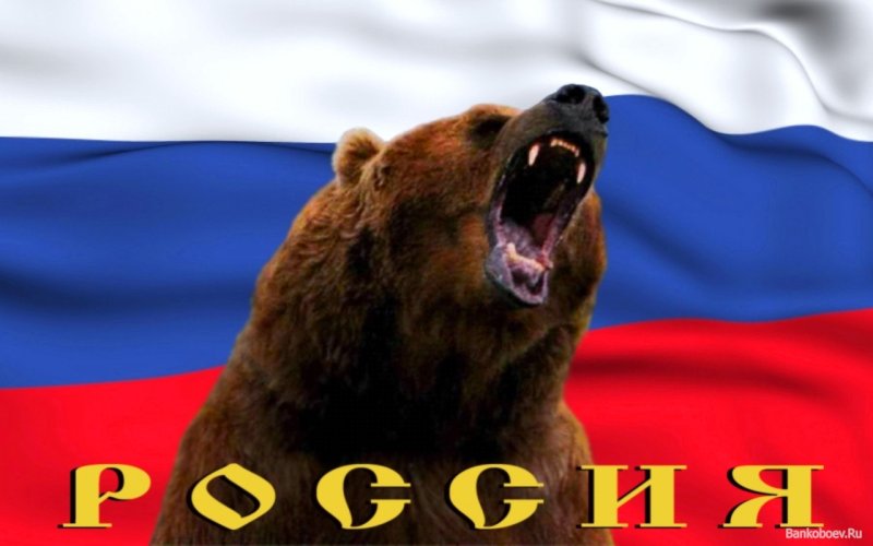 Медведь на фоне русского флага