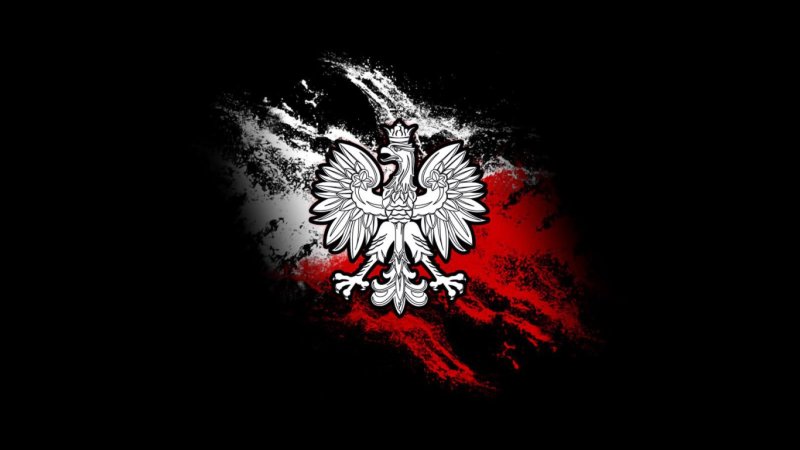 Орел с флага россии на черном фоне