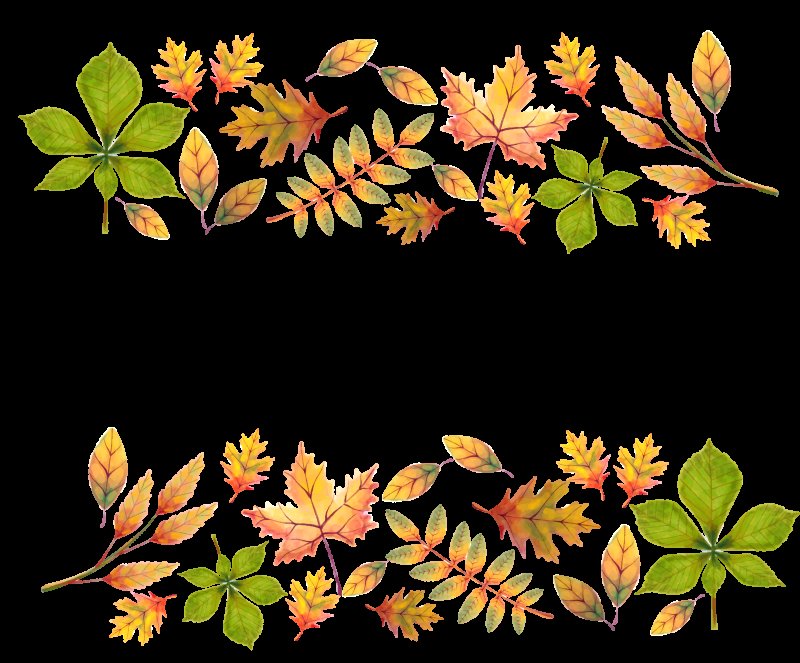 Осенние листья акварель на белом фоне