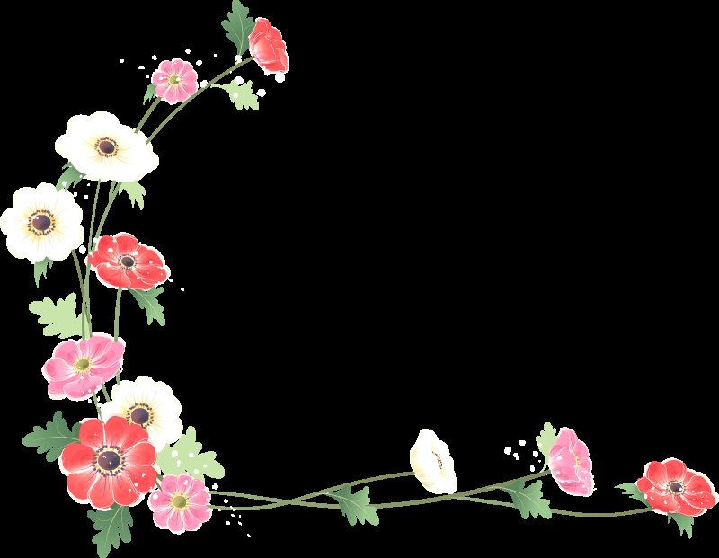 Рамка цветы на белом фоне