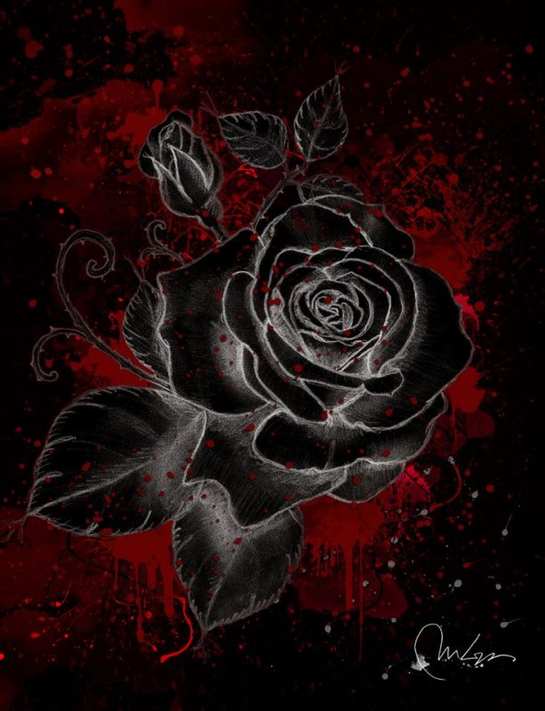 Роза на черном фоне с узорами