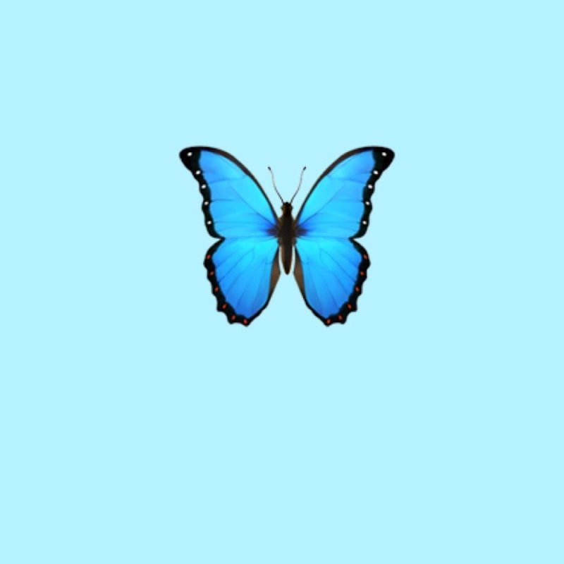 Смайлик бабочки на белом фоне