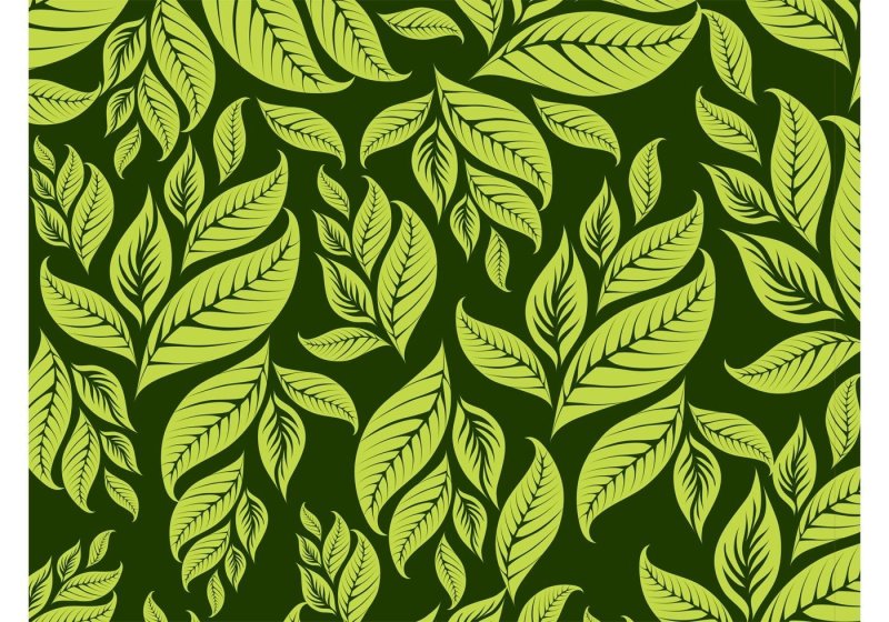 Зеленый фон с узором листья