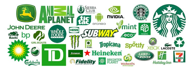 Зеленый логотип на белом фоне