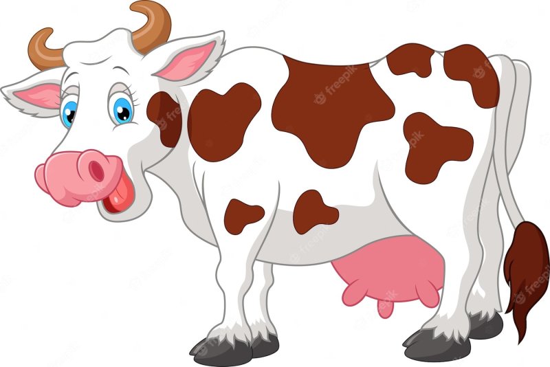 Корова для детей на прозрачном фоне