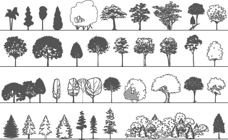 Деревья для схемы на прозрачном фоне