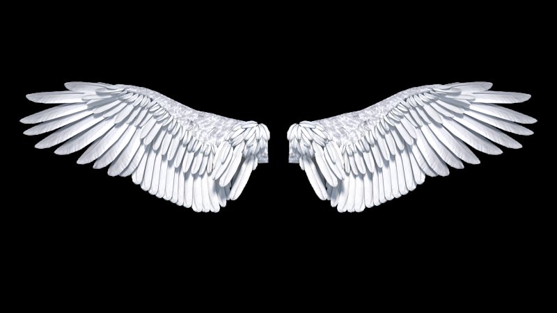 Белые крылья на прозрачном фоне
