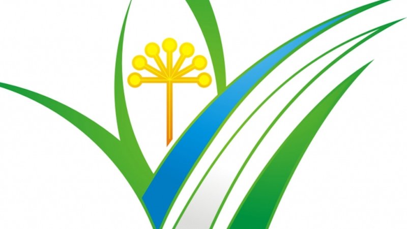 Цветок курая символ башкортостана на прозрачном фоне