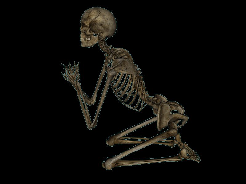Скелет человека на прозрачном фоне