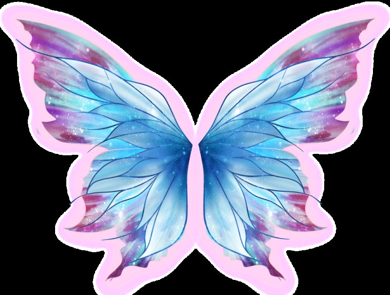 Крыло бабочки на прозрачном фоне